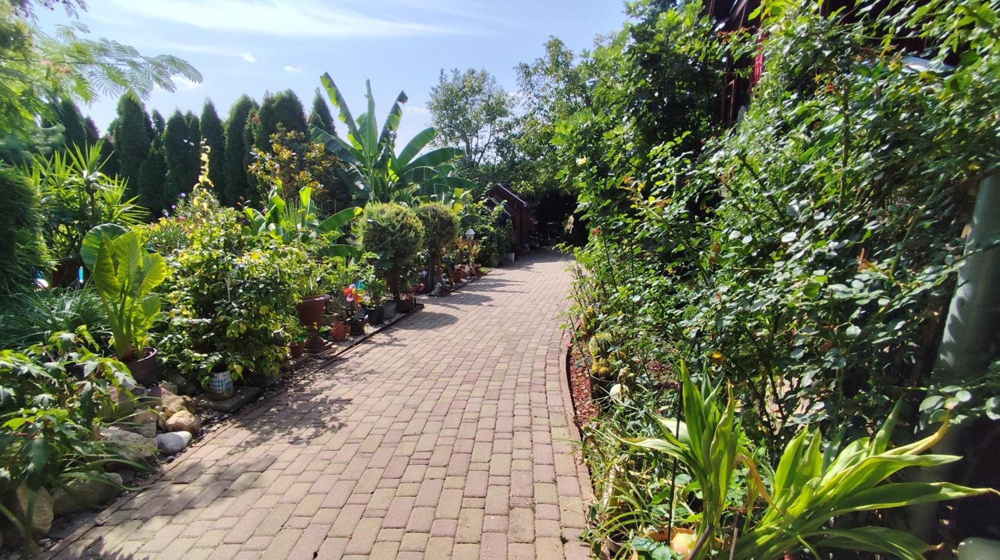 Katica Vendeghaz Apartment Siofok Bagian luar foto