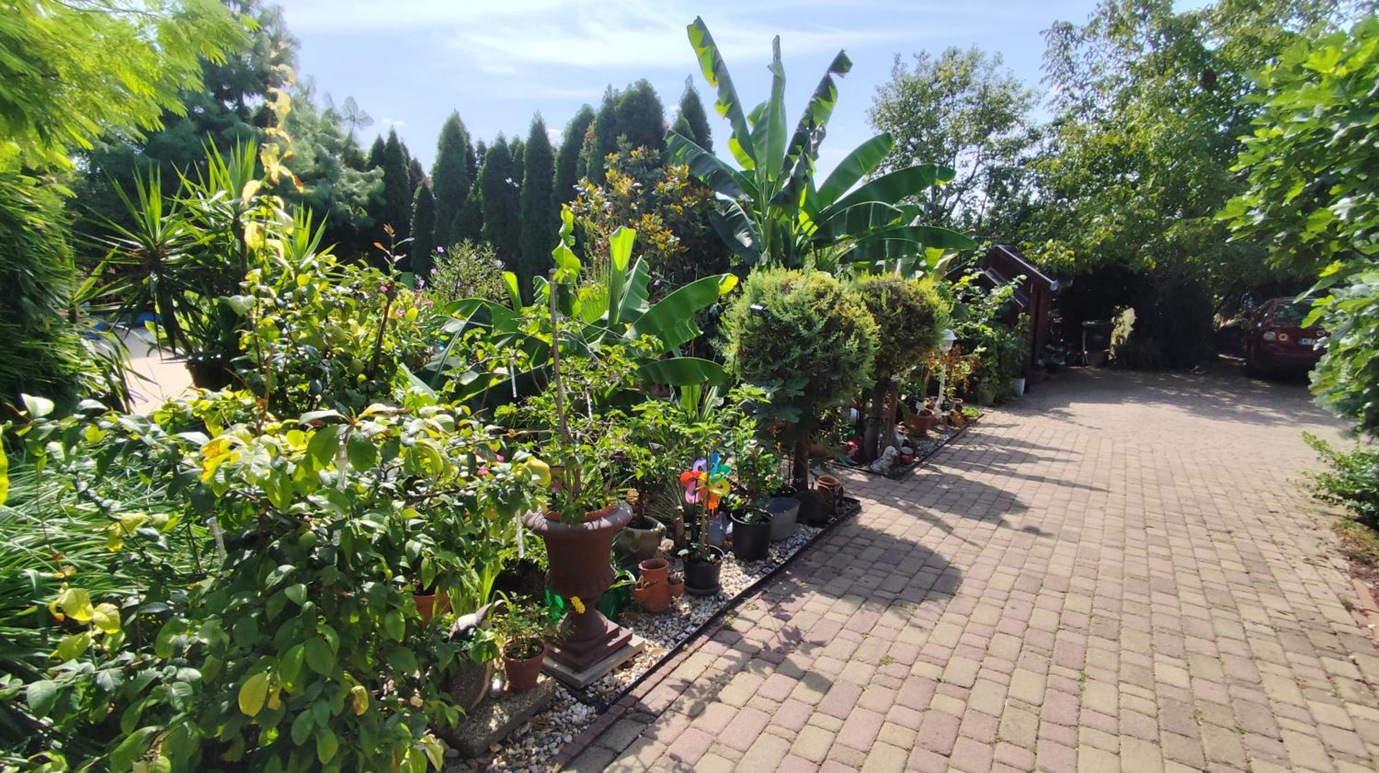 Katica Vendeghaz Apartment Siofok Bagian luar foto