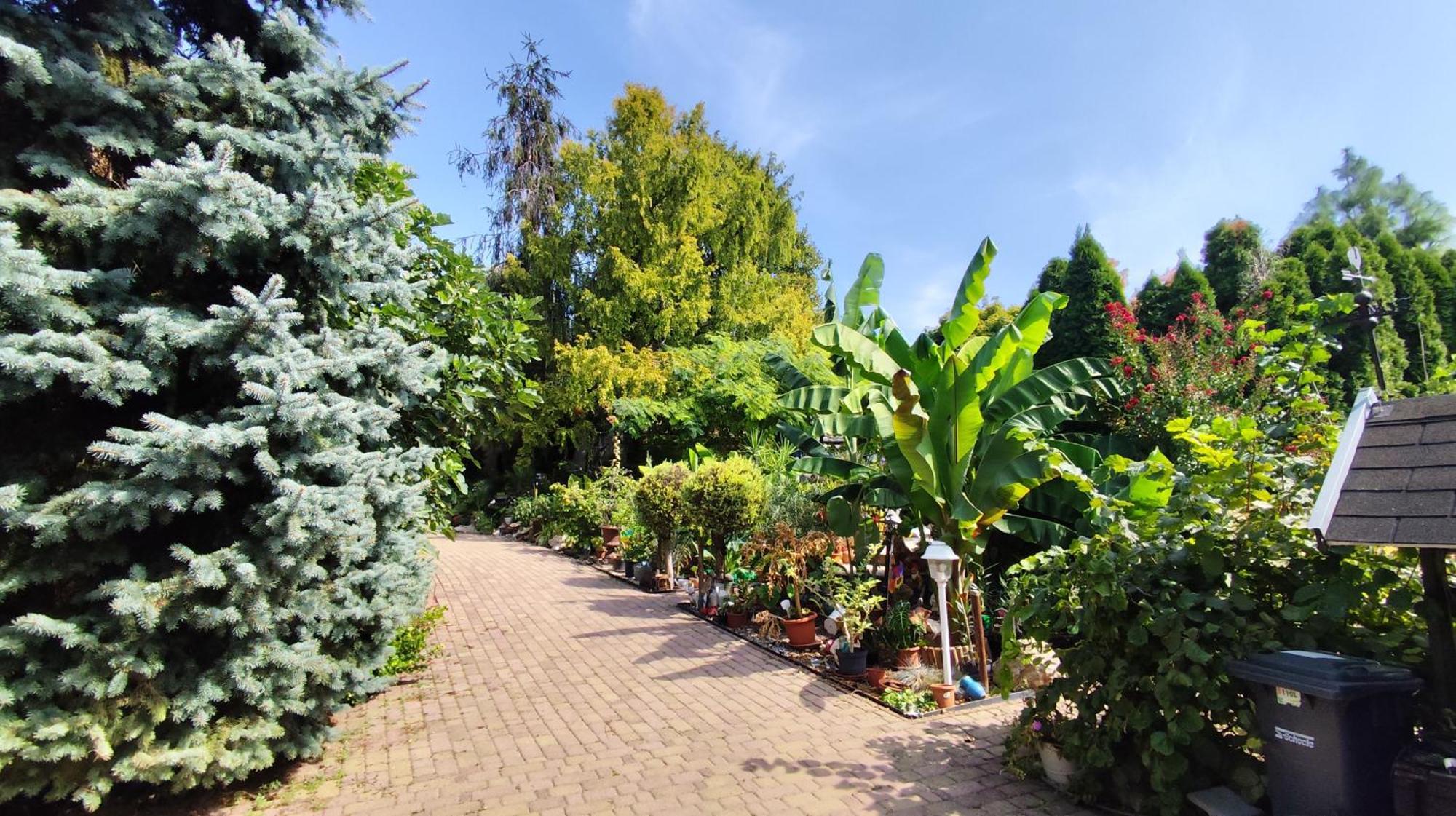 Katica Vendeghaz Apartment Siofok Bagian luar foto