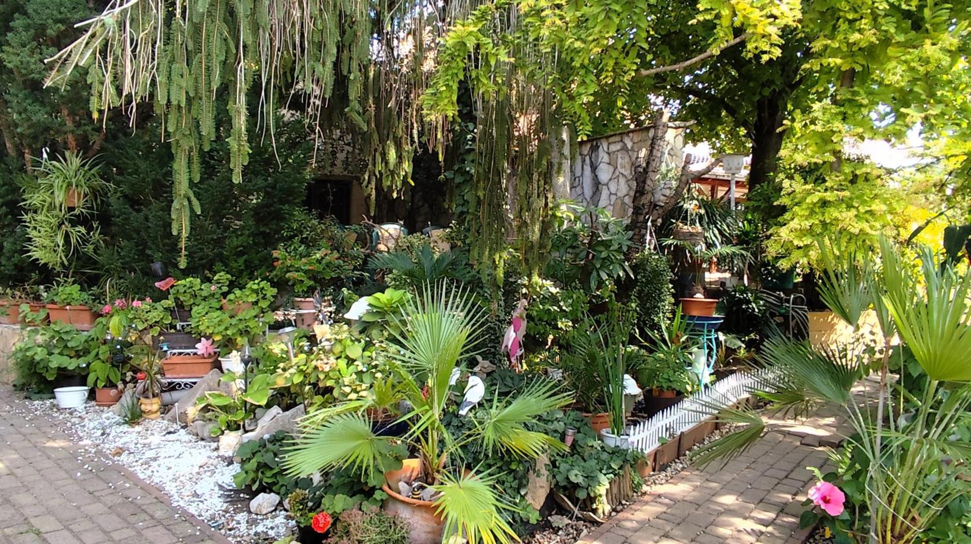 Katica Vendeghaz Apartment Siofok Bagian luar foto