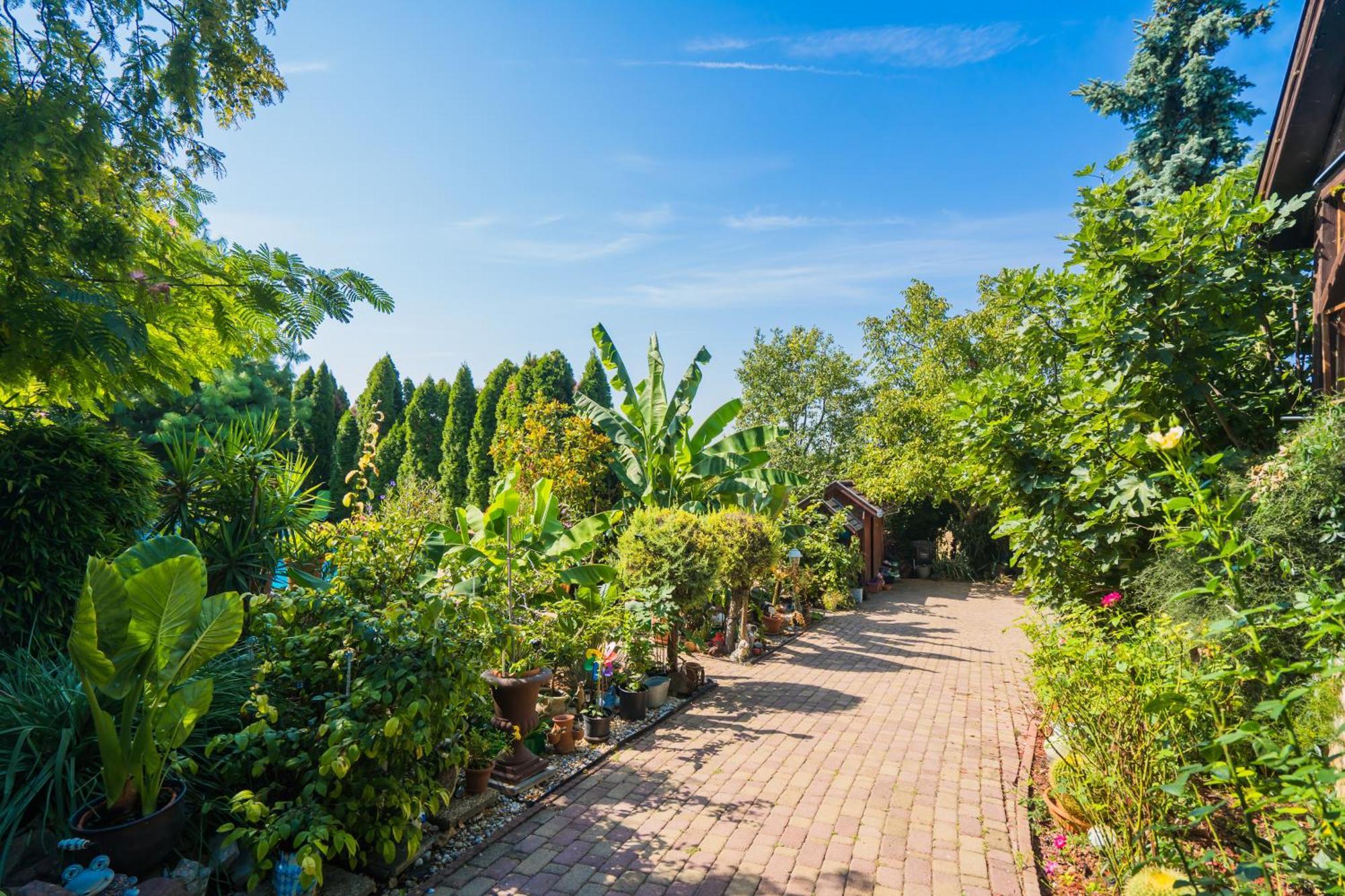 Katica Vendeghaz Apartment Siofok Bagian luar foto